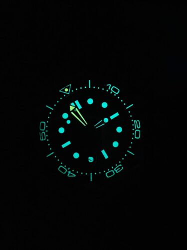 Seamaster 300 "No Time to Die" Limited Edition NTTD VSF 1:1 Best Edition on Titanium Mesh Bracelet A8806 V5 95 grams photo review